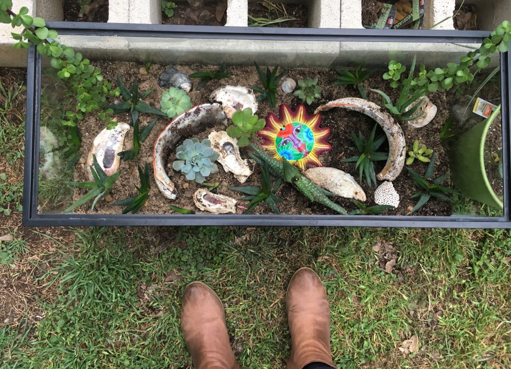 86CAF299-A77D-4D83-9404-6BCC475355F4