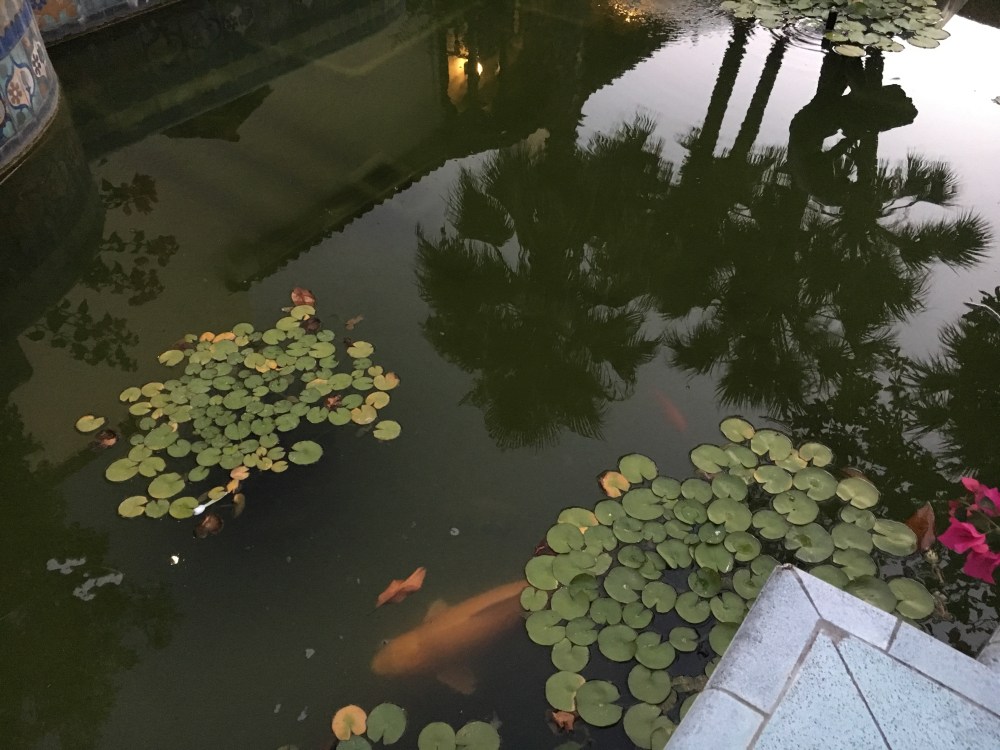 B593B4E3-11A1-4965-8E60-E70E2FA1A590