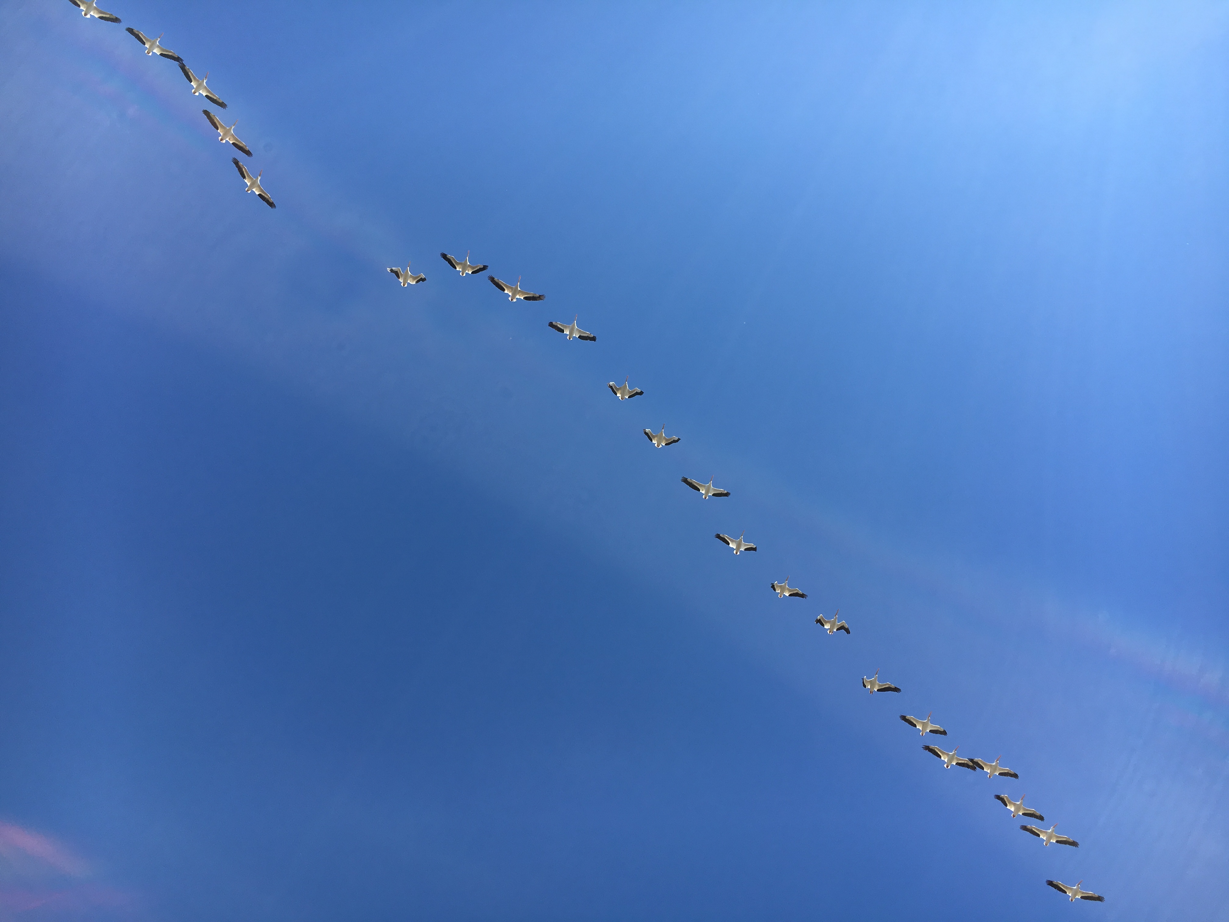 3297ABFE-A83C-4596-B60D-BFDC23C441D1